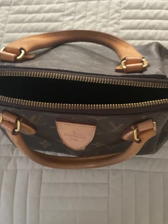 Louis Vuitton Speedy Style Handbag - Picture 5 of 11